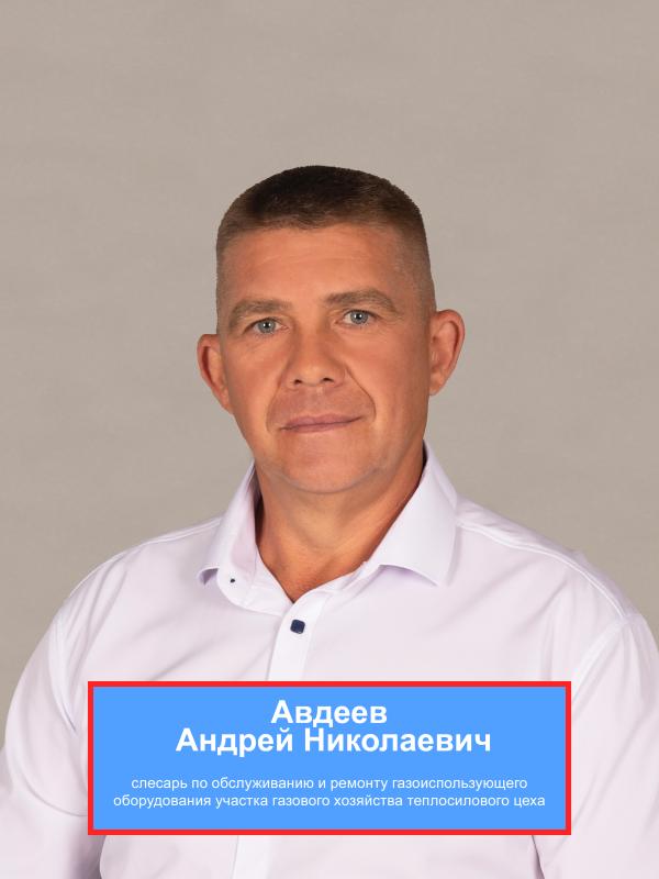 АВДЕЕВ Андрей Николаевич