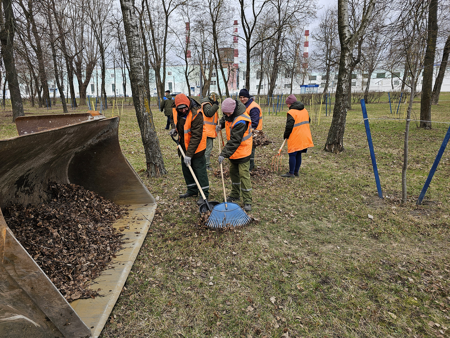 ОБЛАСТНОЙ СУББОТНИК